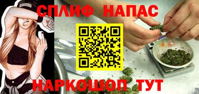кокс Краснодар