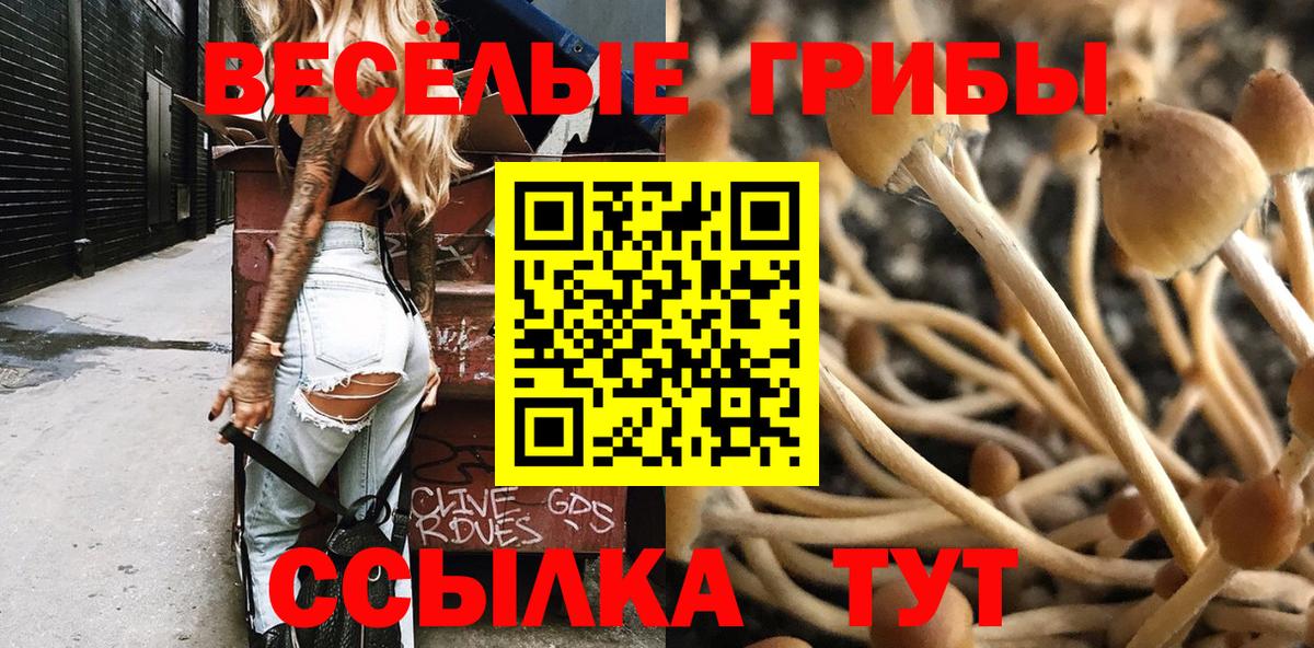 Псилоцибиновые грибы мицелий  Вход с VPN  Киров 
